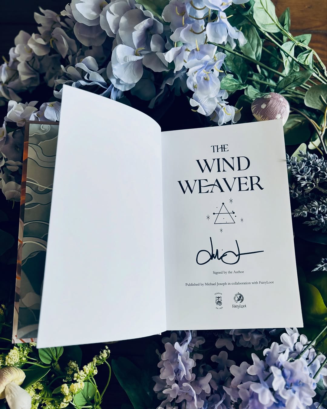 The Wind Weaver Fairyloot edition