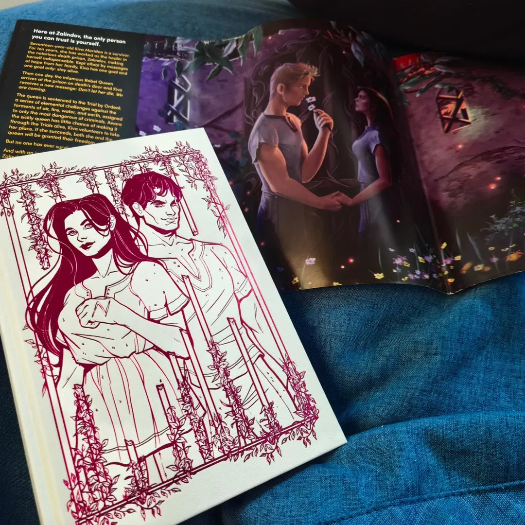 The Prison Healer Fairyloot edition by Lynette Noni