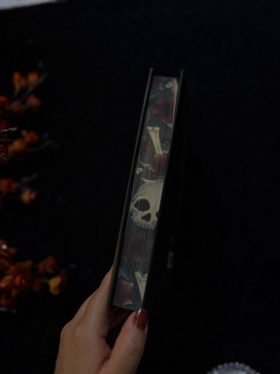 The Coven Fairyloot edition