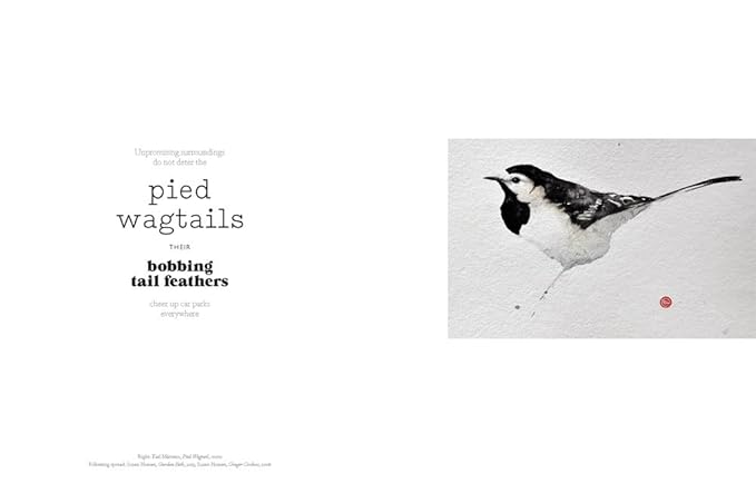 The Book of the Bird: Birds in Art