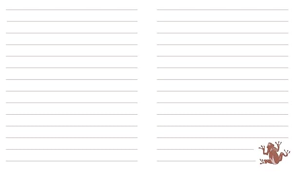 Harry Potter: Chocolate Frog Squishy Lock & Key Diary