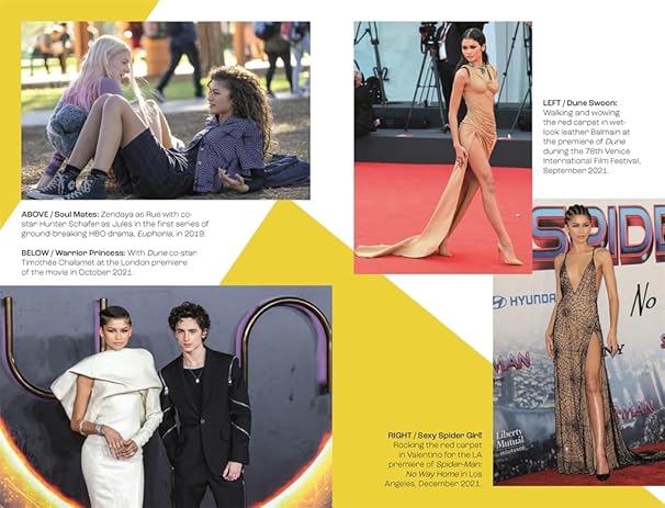 Zendaya: The Unauthorized Biography (Hardback)