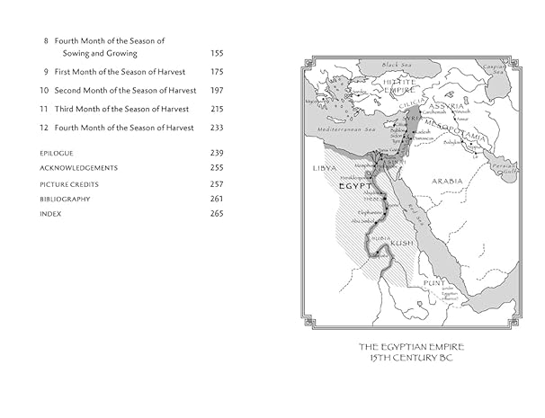 A Year in the Life of Ancient Egypt: The Real Lives of the People Who Lived There (hardback)