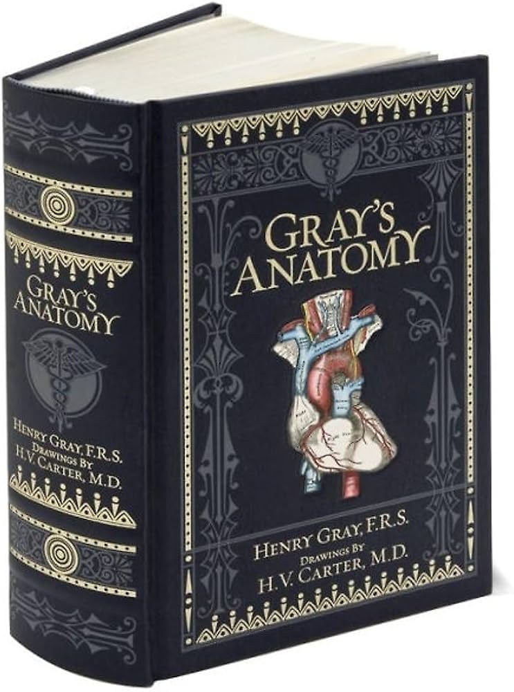 Gray's Anatomy (Barnes & Noble Classic Collection)