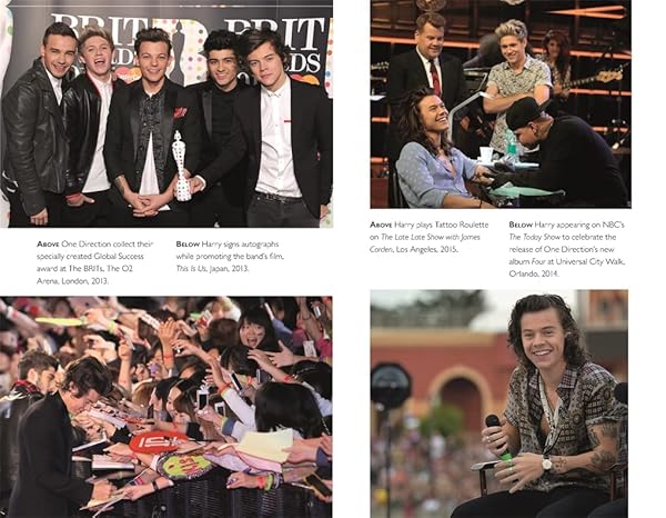 Harry: The Unauthorized Biography