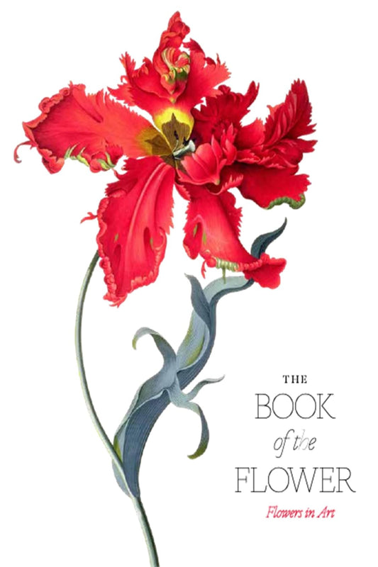 The Book of the Flower: Flowers in Art