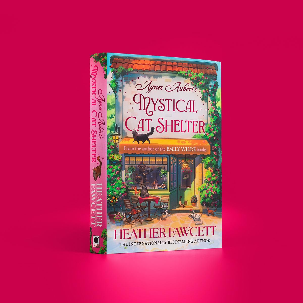 Agnes Aubert's Mystical Cat Shelter By Heather Fawcett (Hardback)