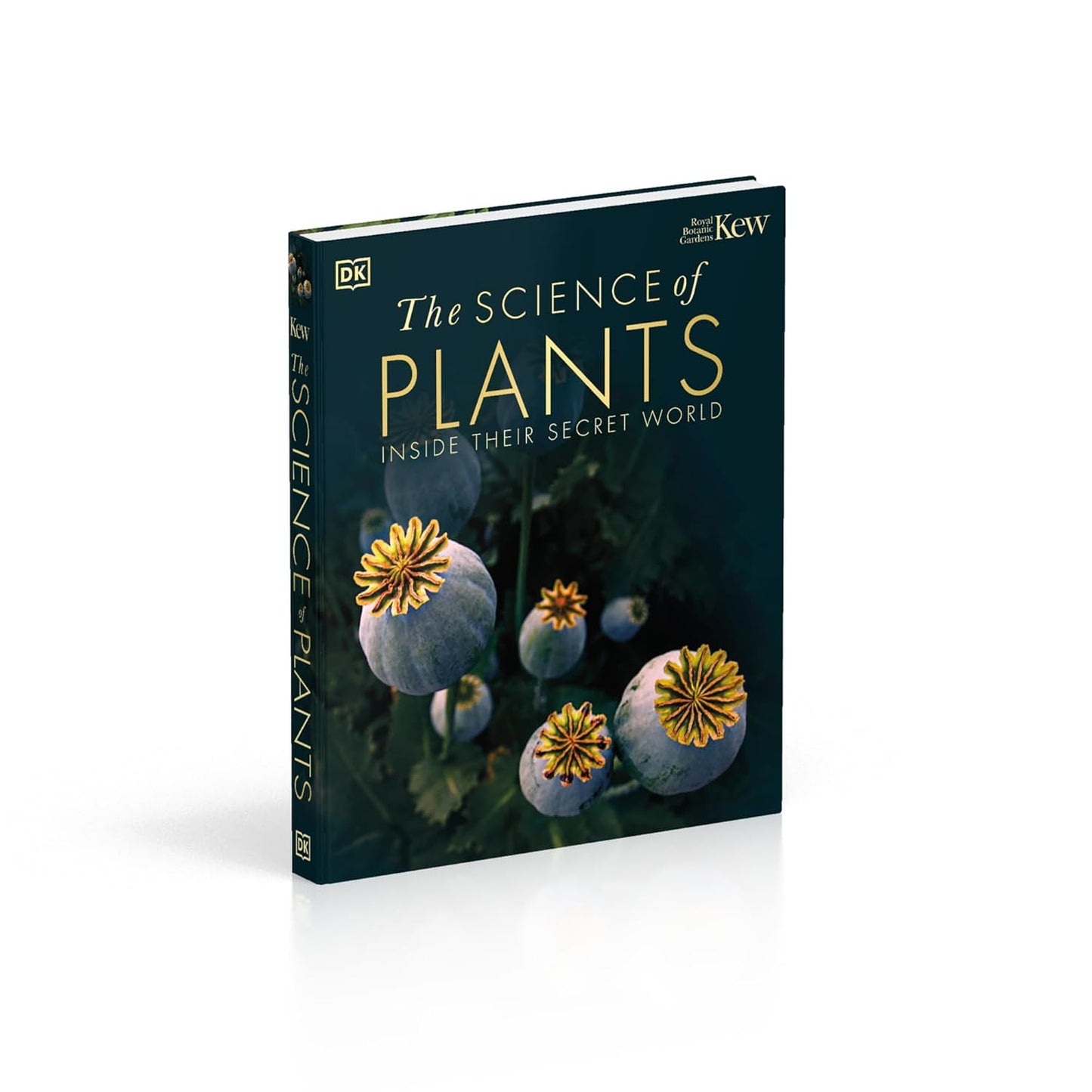 The Science of Plants: Inside their Secret World - DK Secret World Encyclopedias (Hardback)