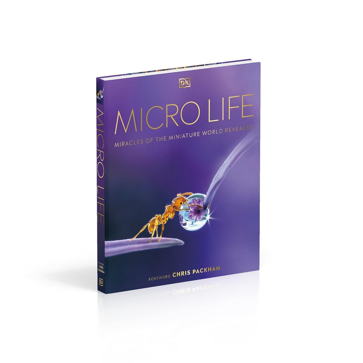 Micro Life: Miracles of the Miniature World Revealed - DK Secret World Encyclopedias (Hardback)