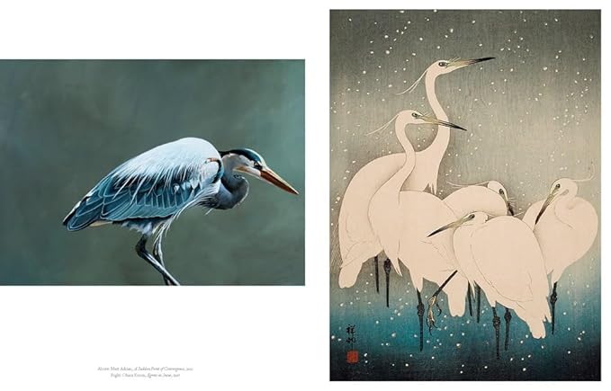 The Book of the Bird: Birds in Art