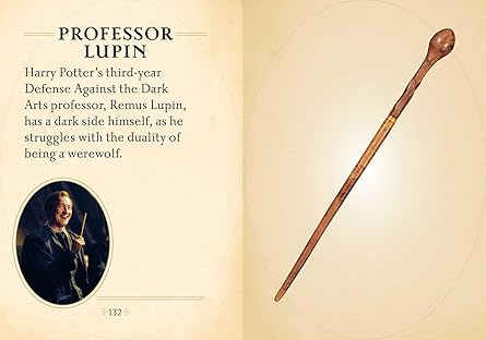 Harry Potter: Mini Book Trunk (Hardcover)