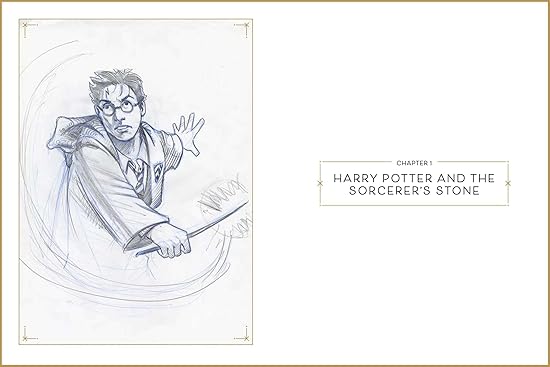 Harry Potter: The Storyboards (Hardcover)