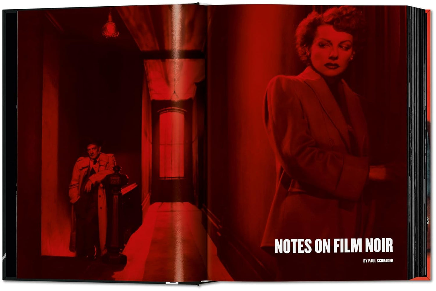 Film Noir. 100 All-Time Favorites (Hardback)