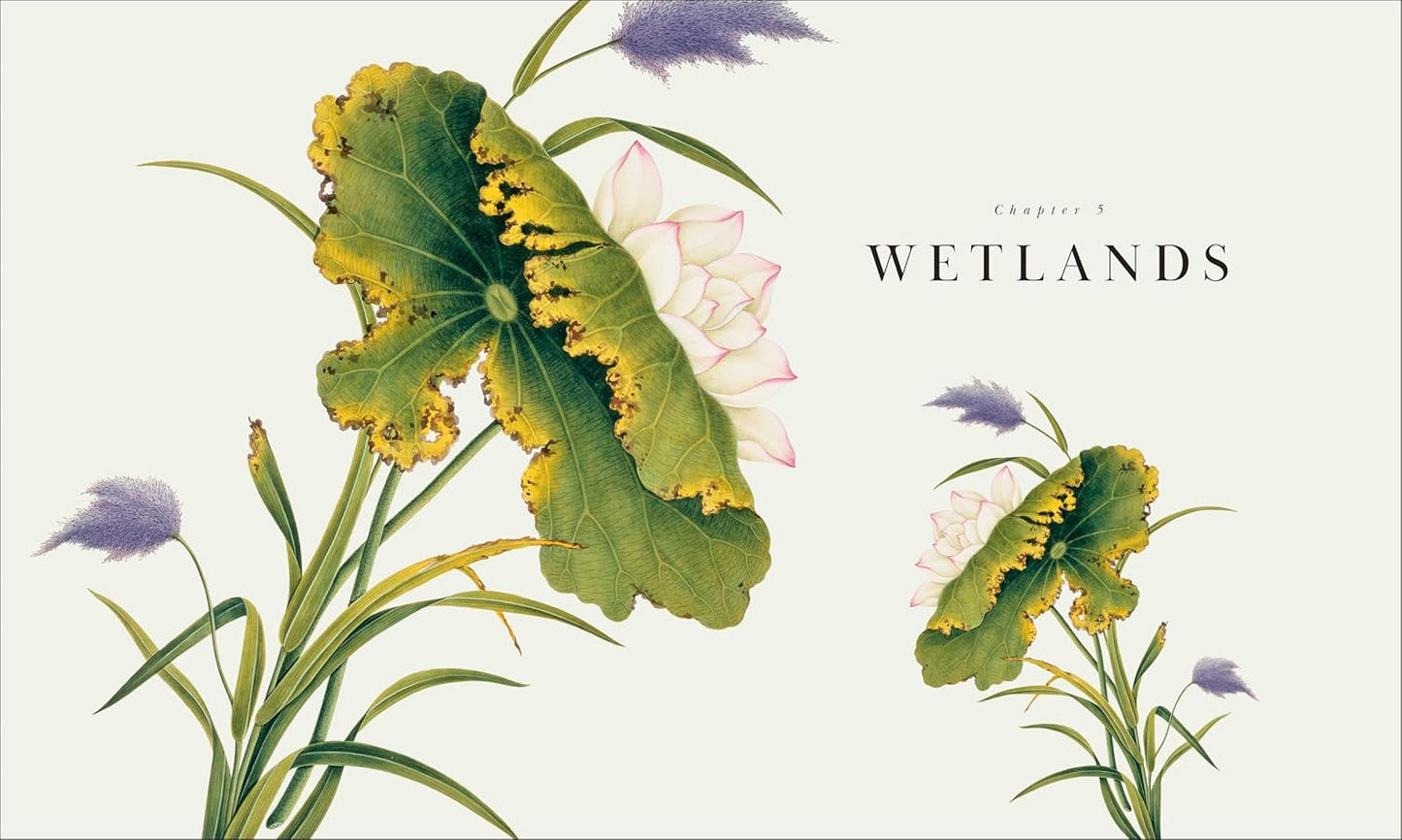 Atlas of Botany: An Exploration of Plants Across Time and Around the World (Hardback)