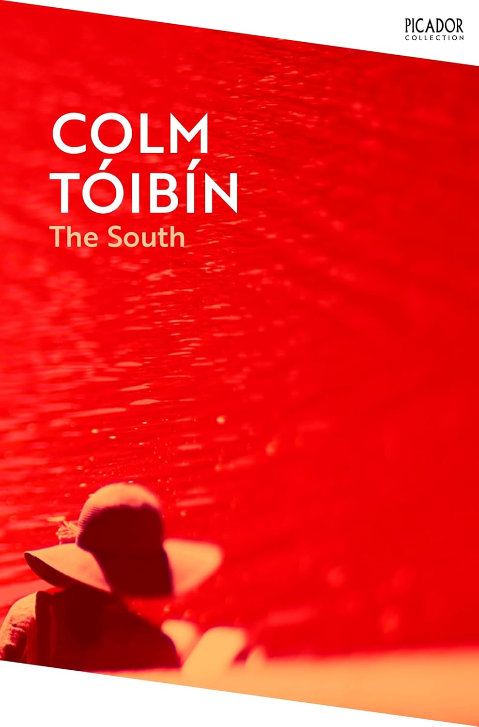 The South By Colm Tóibín
