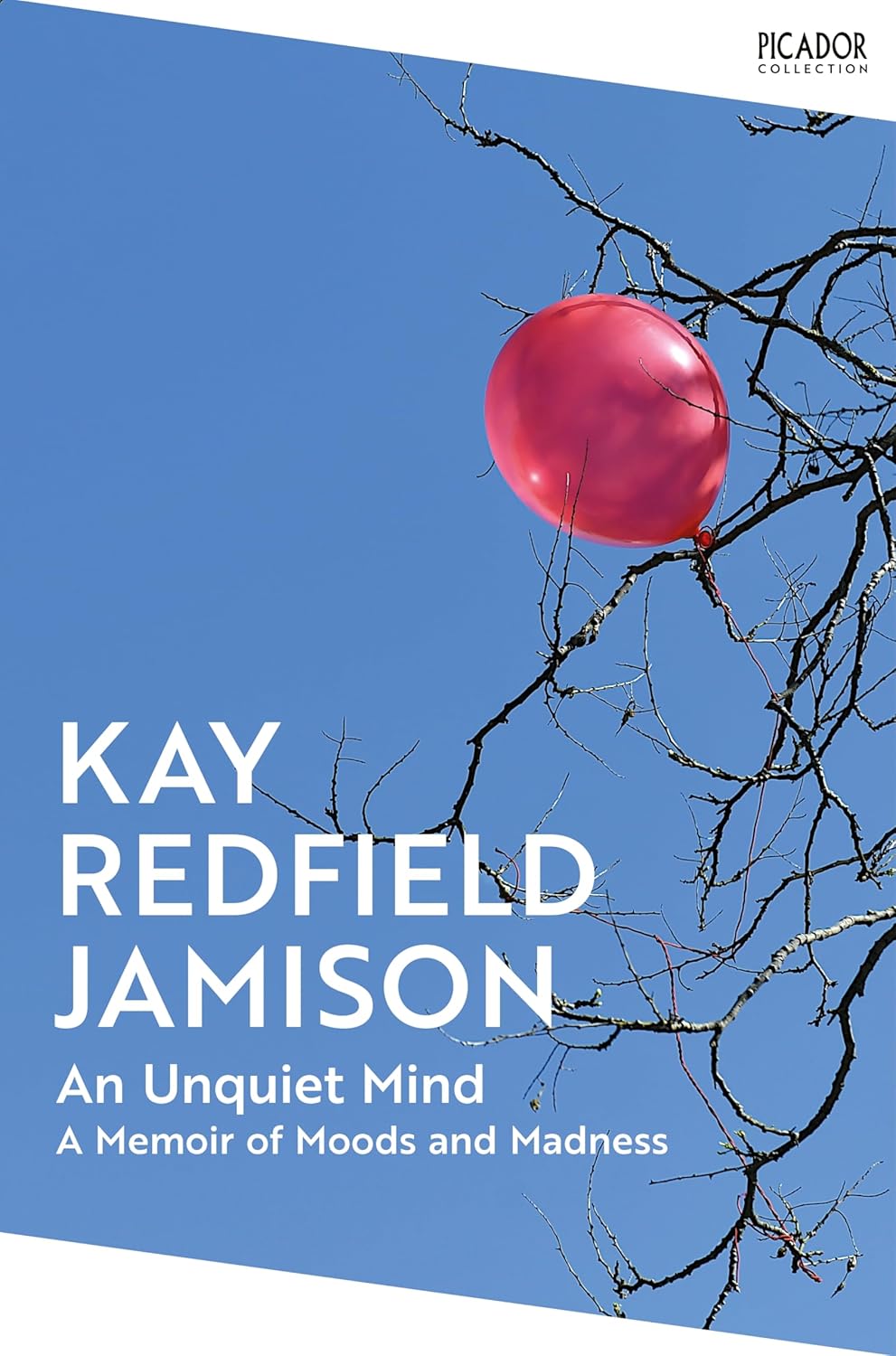An Unquiet Mind: A Memoir of Moods and Madness By Kay Redfield Jamison
