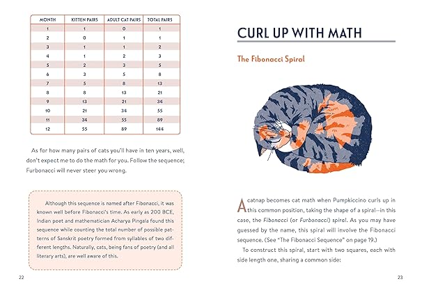Math Cats: Scratching the Surface of Mathematical Concepts (Hardback)