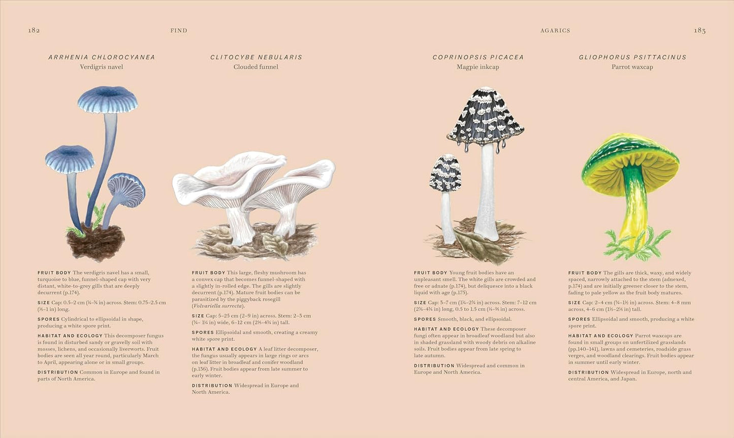 Fungi: Discover the Science and Secrets Behind the World of Mushrooms - Science and Secrets of Natural History (Hardback)