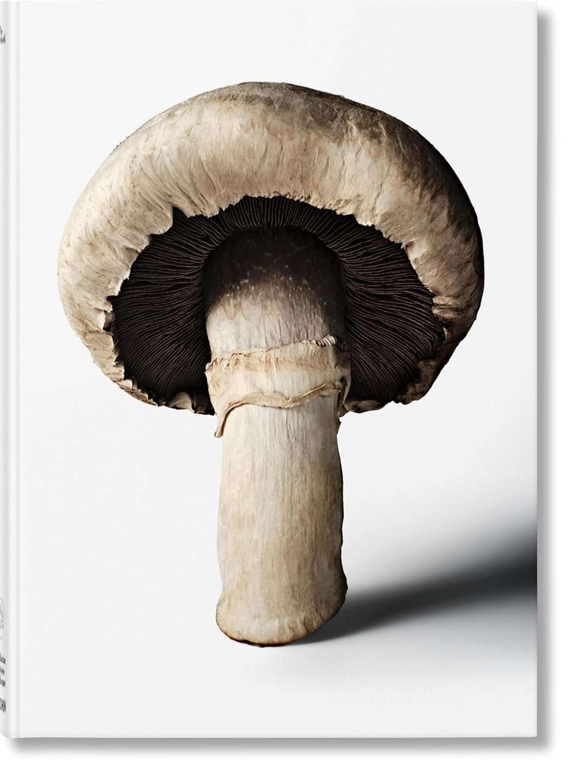 The Gourmand's Mushroom (Hardback)