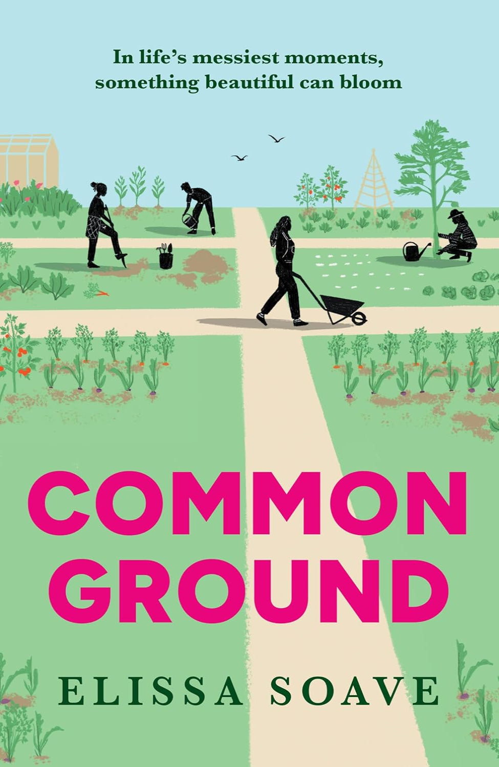 Common Ground By Elissa Soave (Hardback)