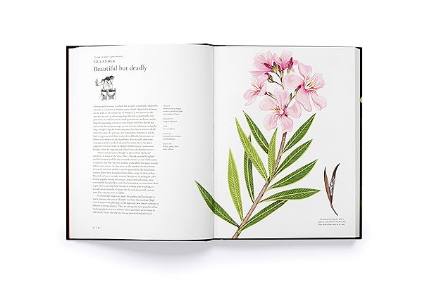 The Story of Flowers: And How They Changed the Way We Live (Hardback)