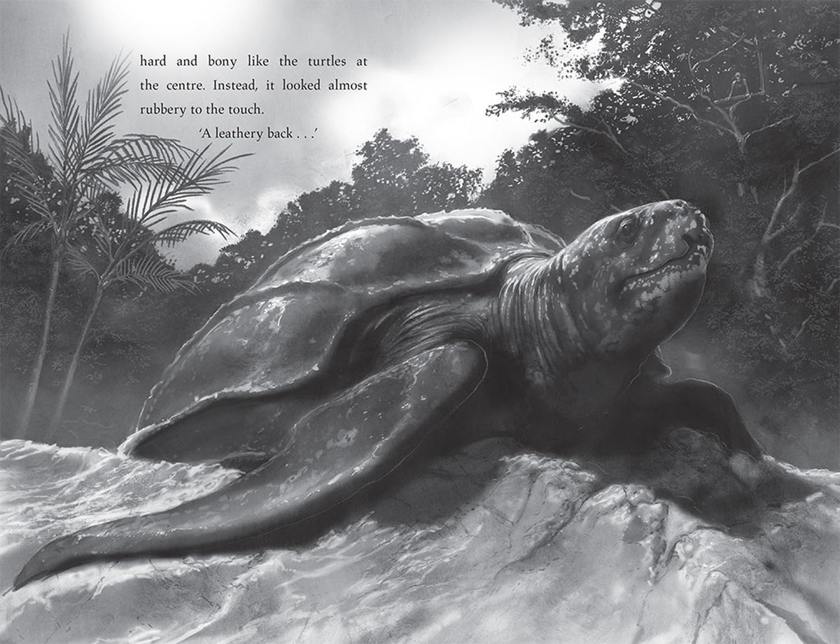 Turtle Moon By Hannah Gold