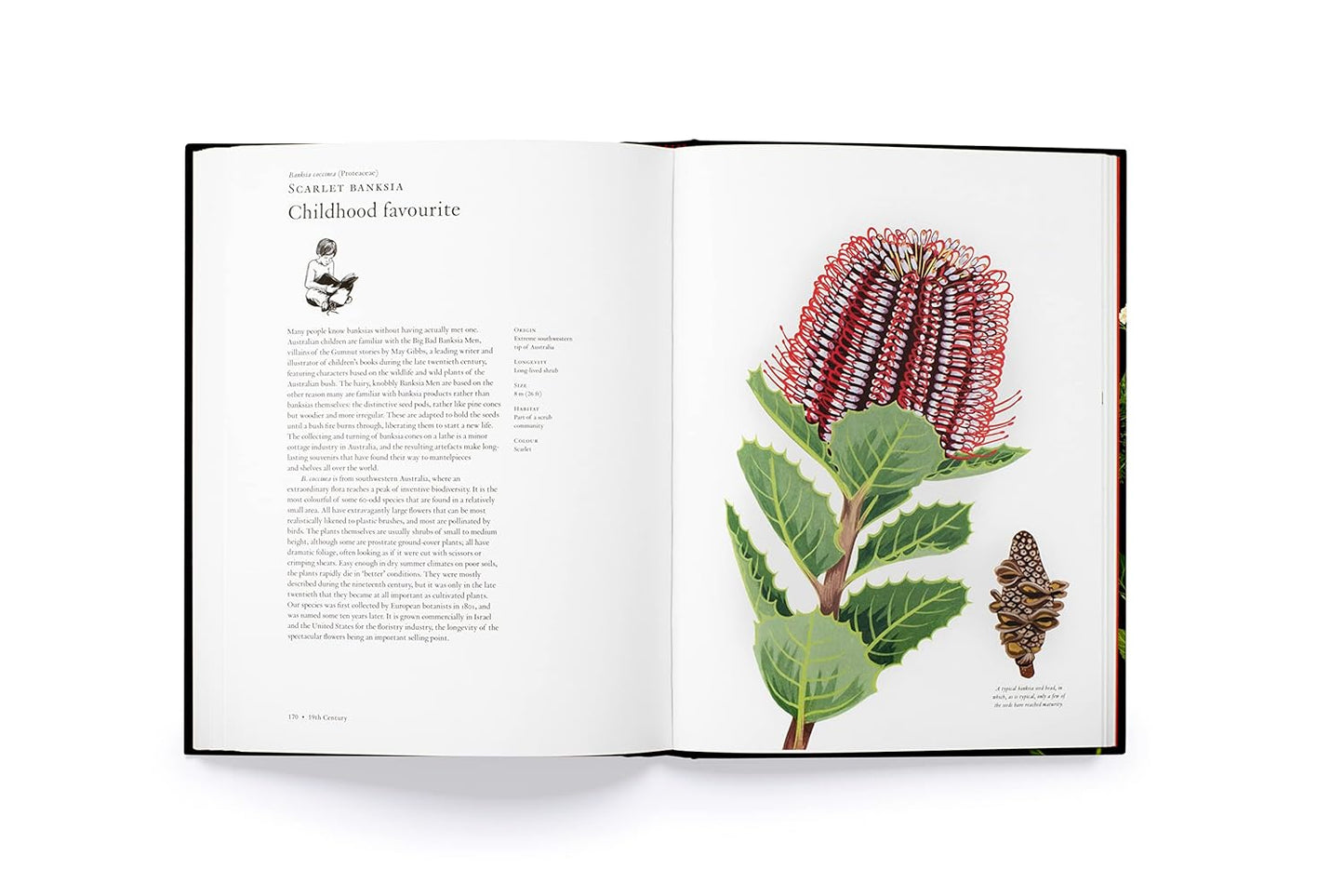 The Story of Flowers: And How They Changed the Way We Live (Hardback)