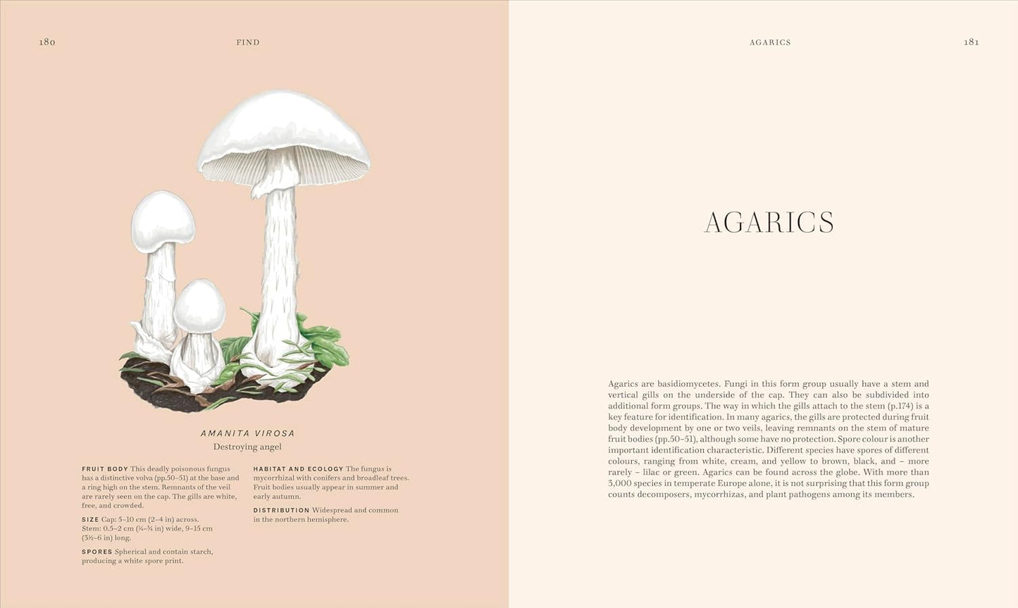 Fungi: Discover the Science and Secrets Behind the World of Mushrooms - Science and Secrets of Natural History (Hardback)