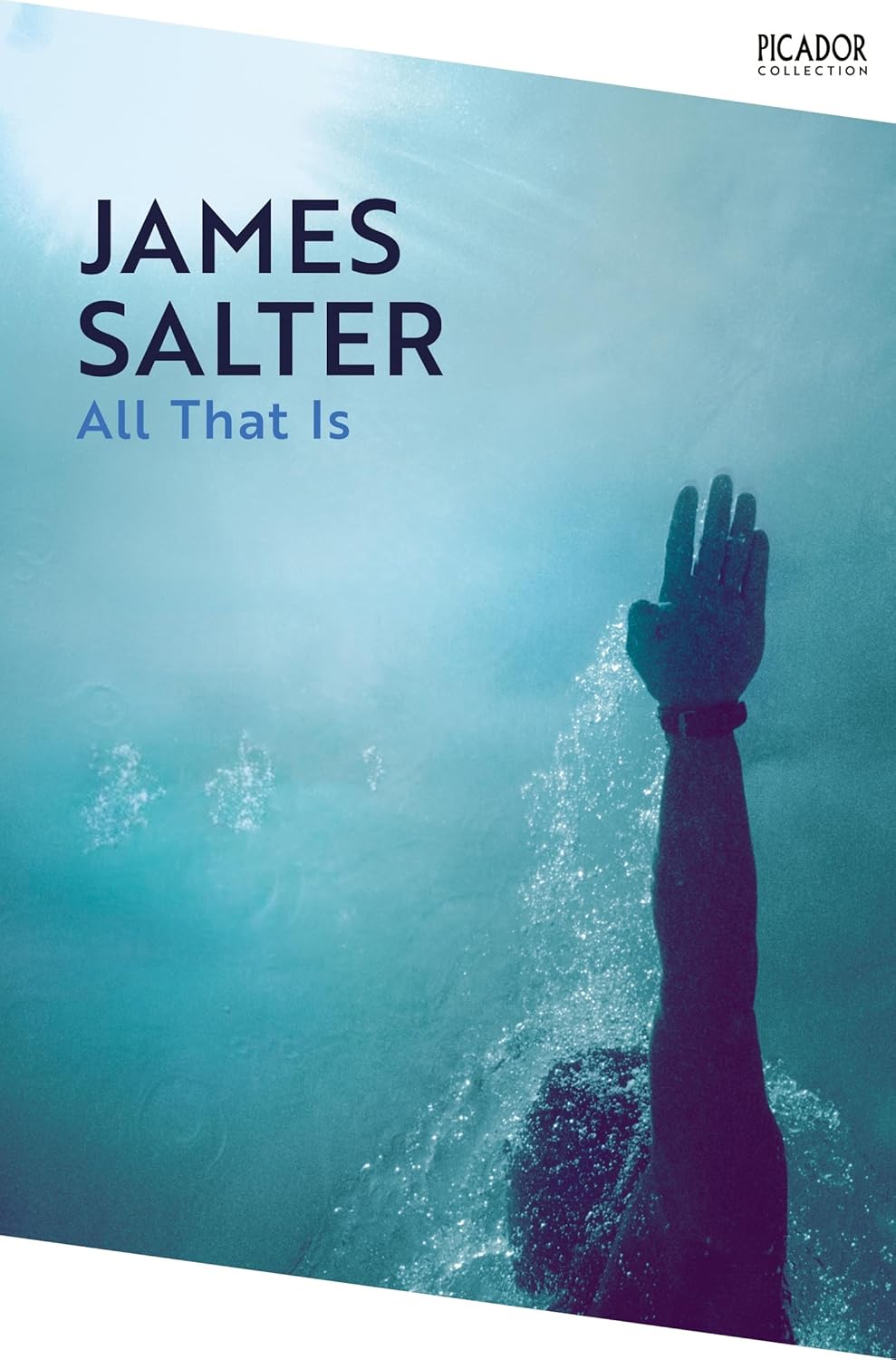 All That Is By James Salter