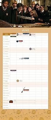 2026 Harry Potter: Hogwarts Family Wall Planner (Paperback)