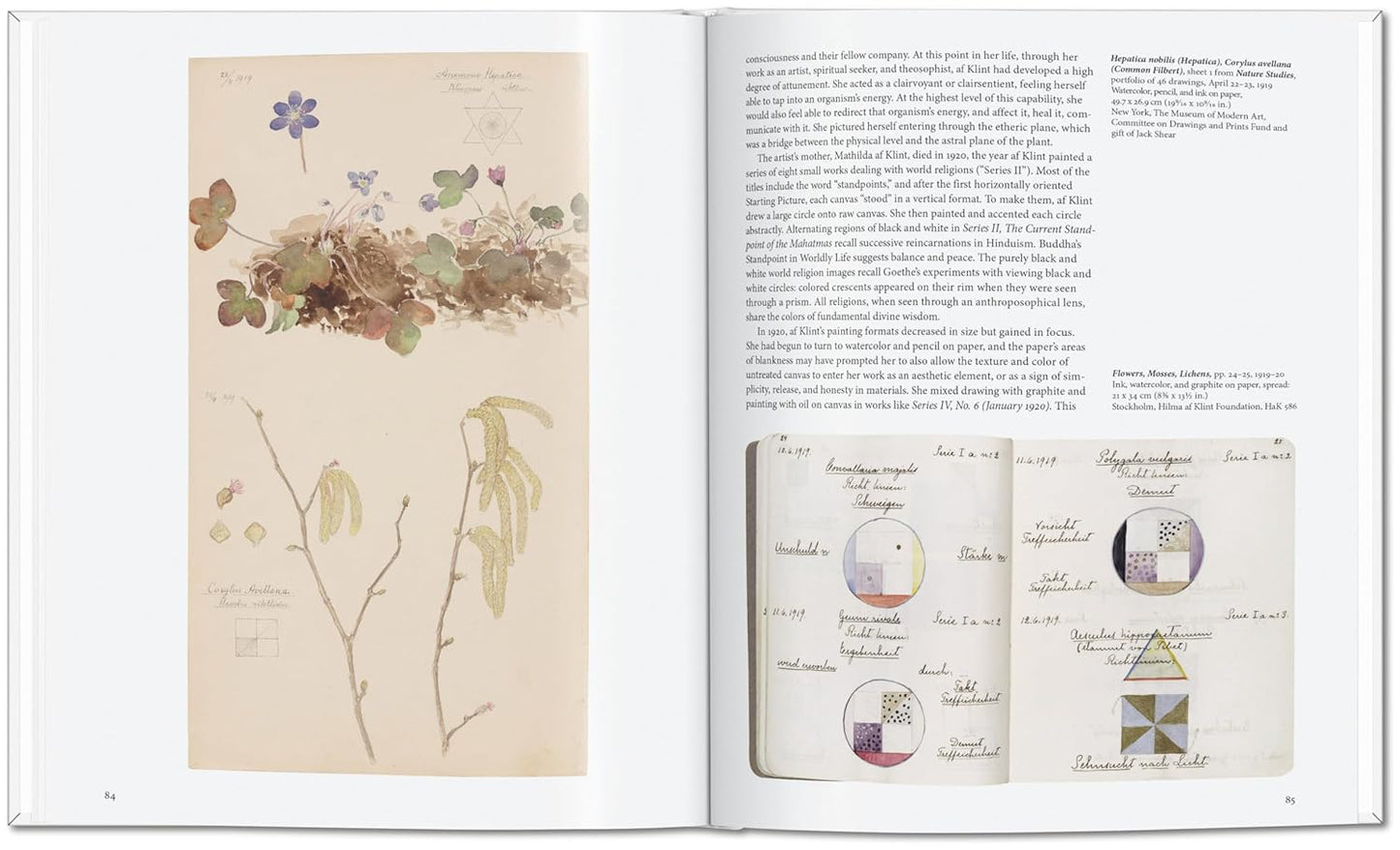 Hilma af Klint - Basic Art (Hardback)