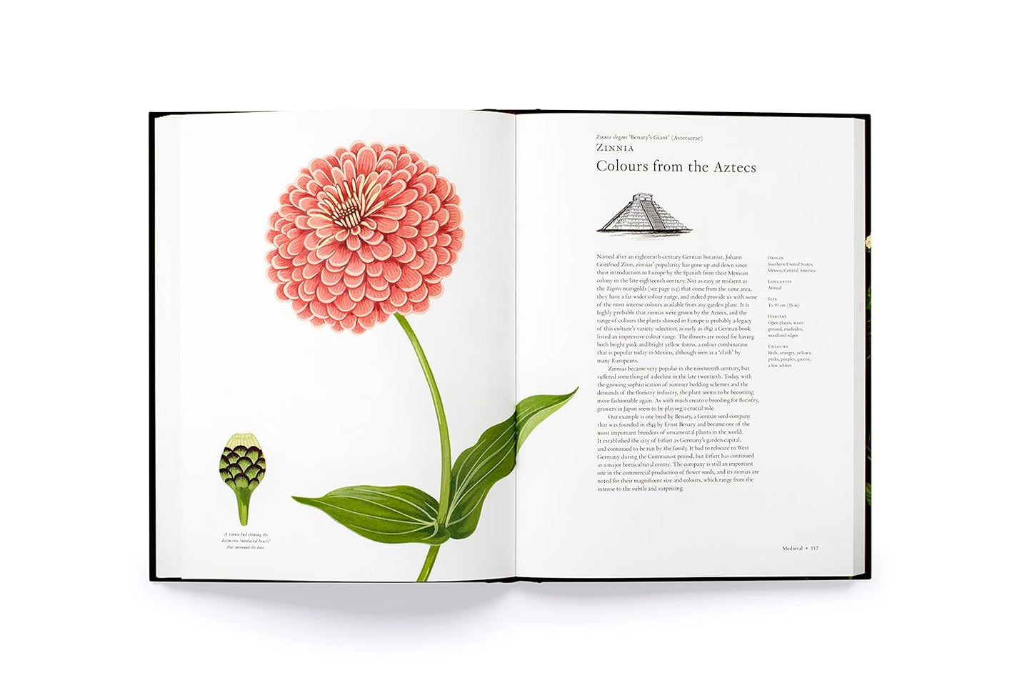 The Story of Flowers: And How They Changed the Way We Live (Hardback)