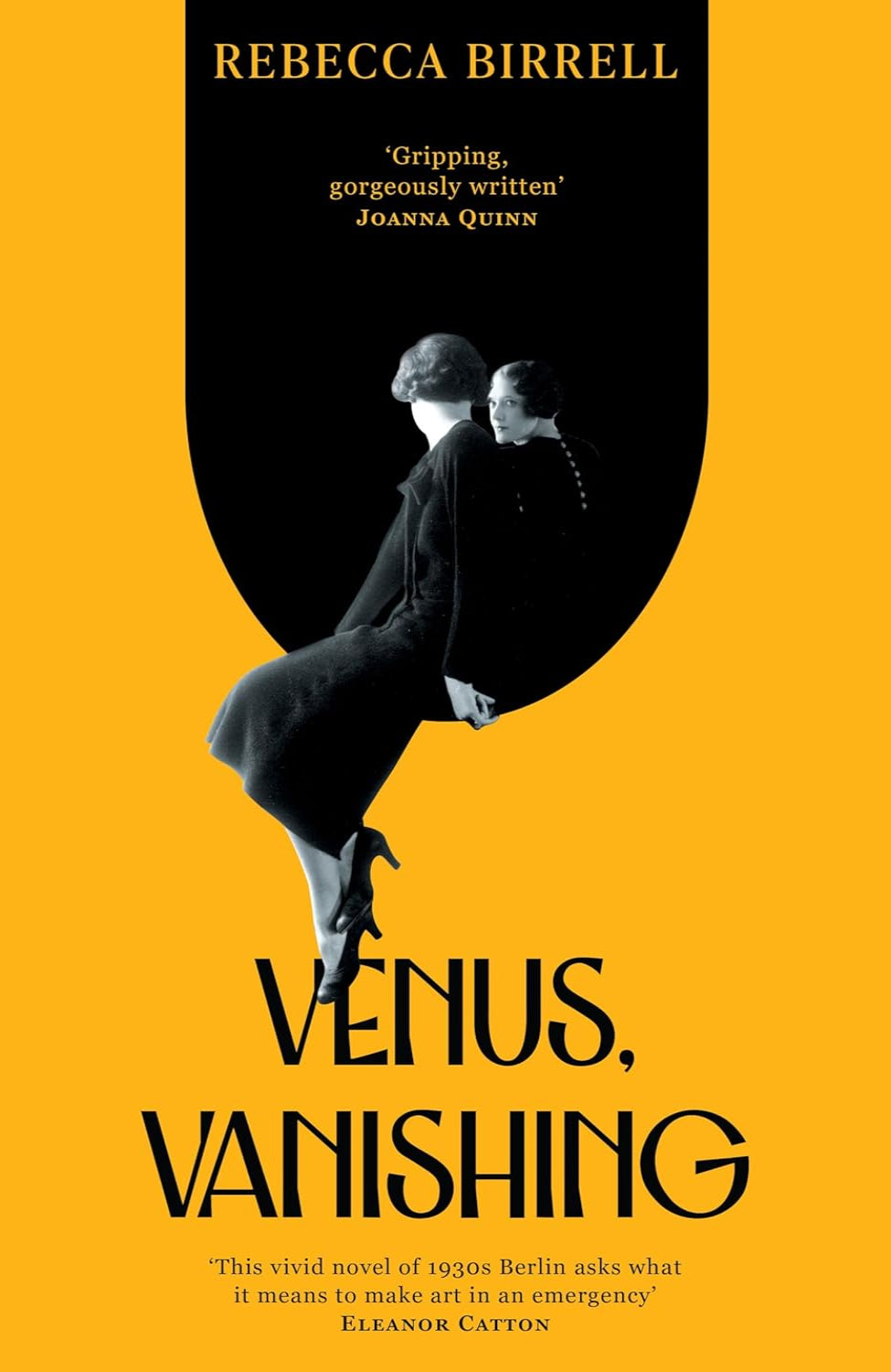 Venus, Vanishing: A Novel By Rebecca Birrell (Trade Paperback)