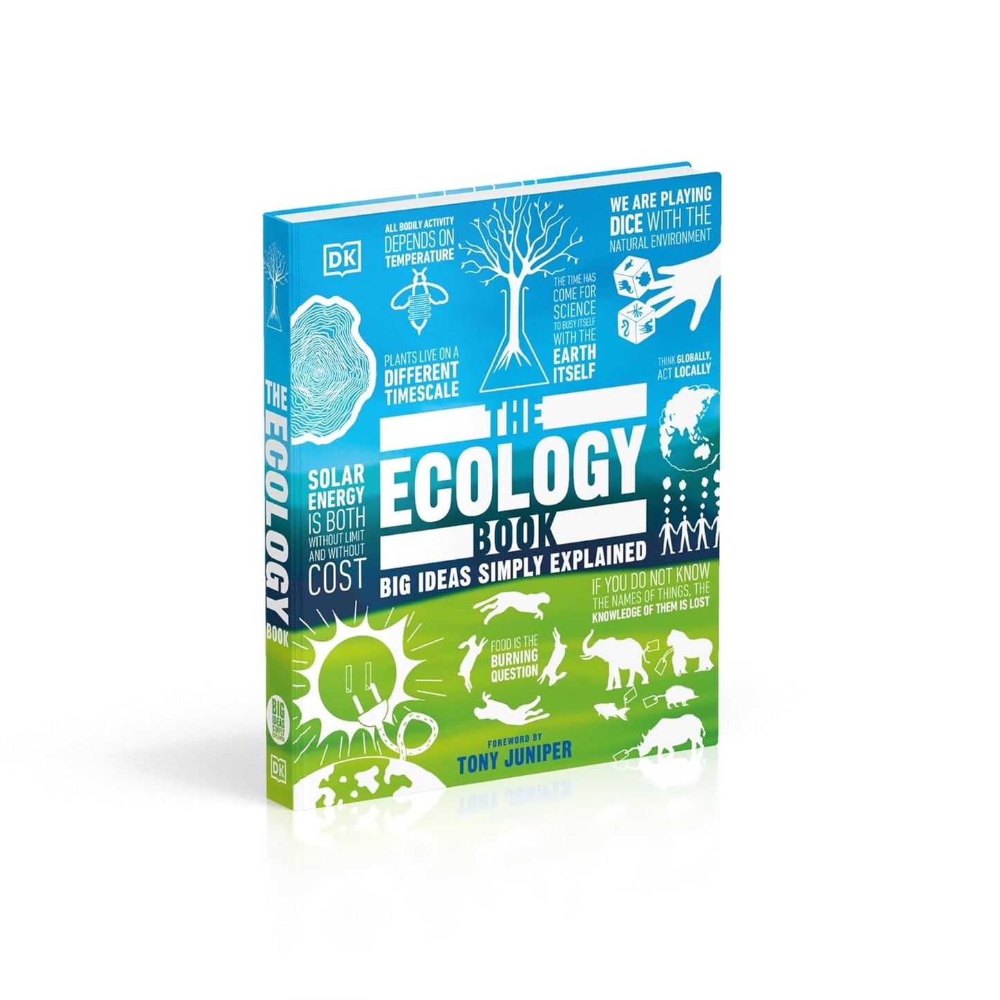 The Ecology Book: Big Ideas Simply Explained - DK Big Ideas (Hardback)