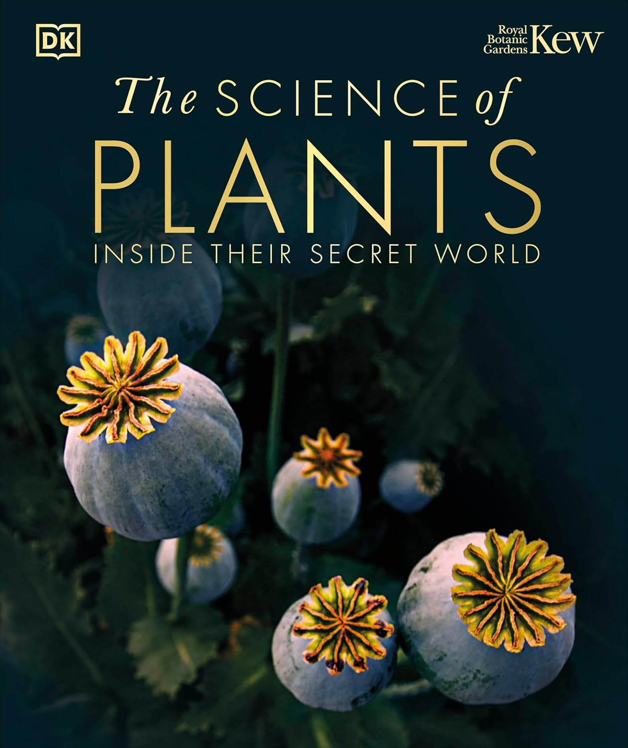 The Science of Plants: Inside their Secret World - DK Secret World Encyclopedias (Hardback)