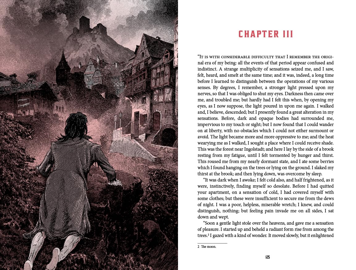Frankenstein (Collector's Special Edition) - Deluxe Illustrated Classics (Hardback)