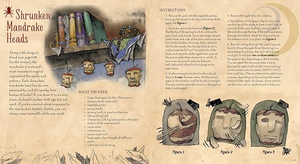The Book of Wizard Craft: In Which the Apprentice Finds Spells, Potions, Fantastic Tales & 50 Enchanting Things to Make - The Books of Wizard Craft (Leather / fine binding)