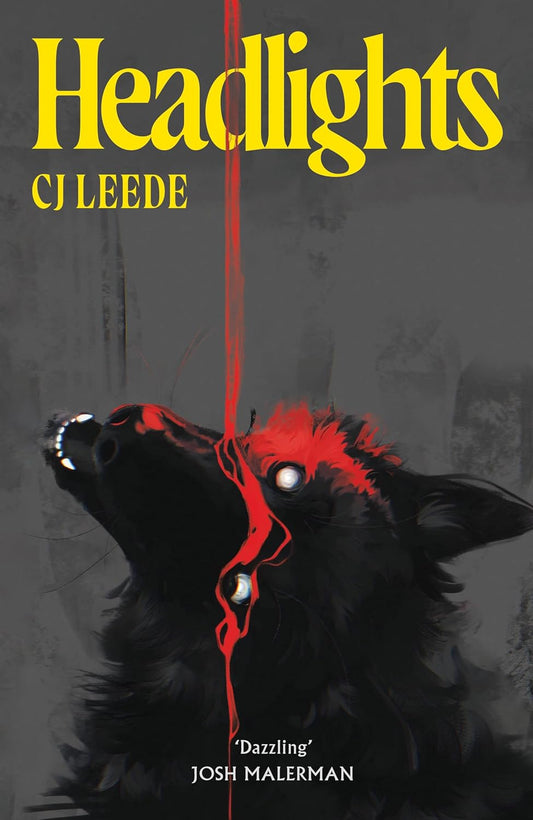 Headlights By C.J. Leede (Trade Paperback)