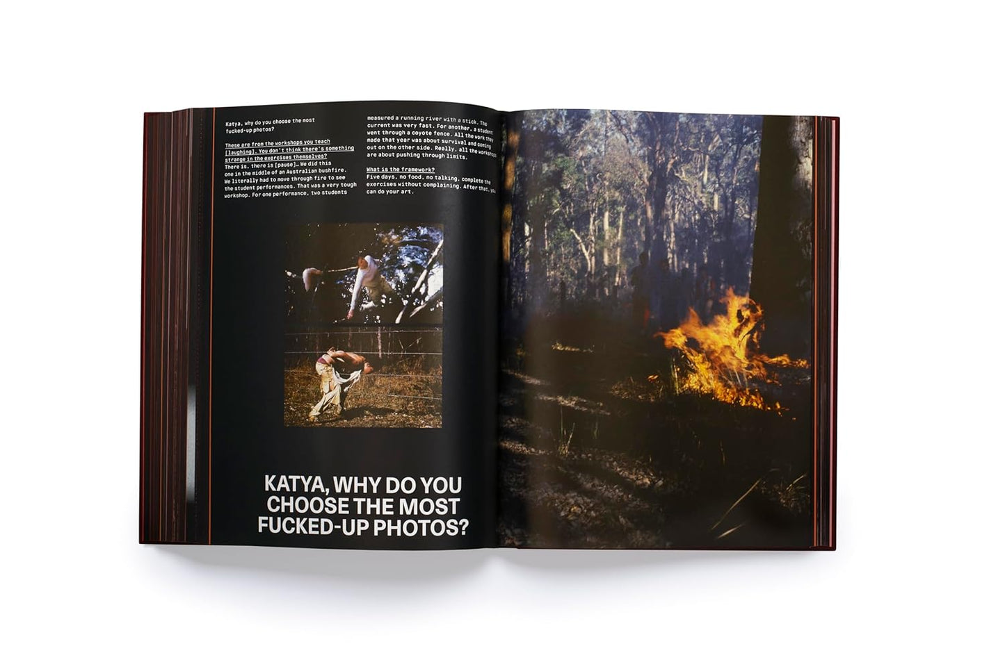 Marina Abramovic: A Visual Biography (Hardback)