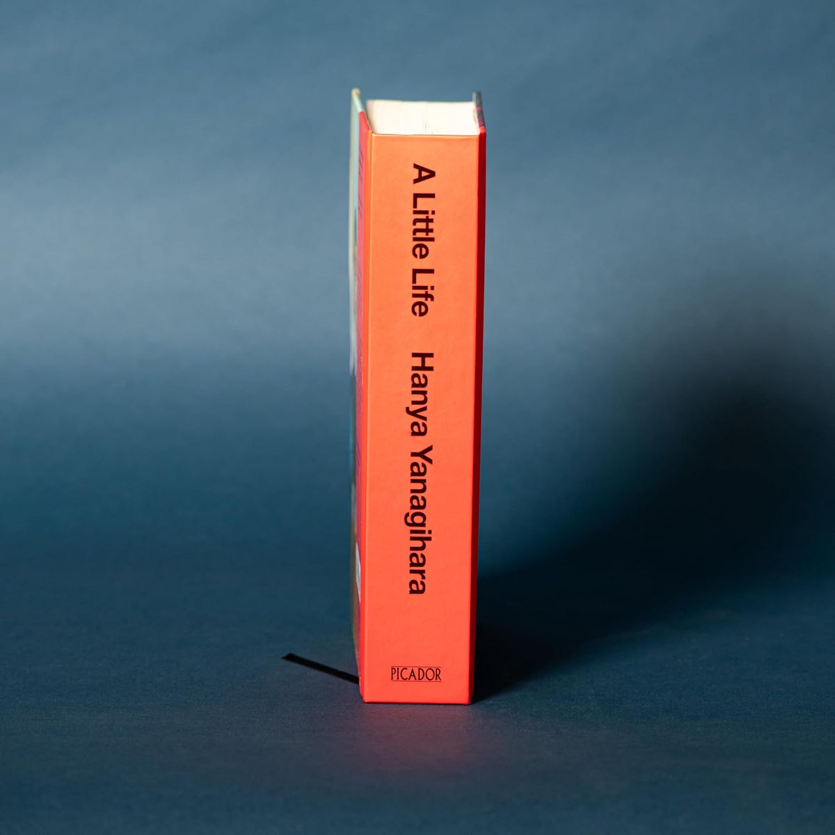 A Little Life By Hanya Yanagihara (Hardback)