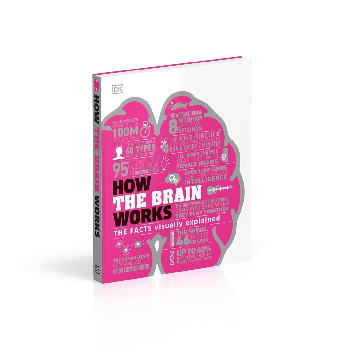 How the Brain Works: The Facts Visually Explained - DK How Stuff Works (Hardback)