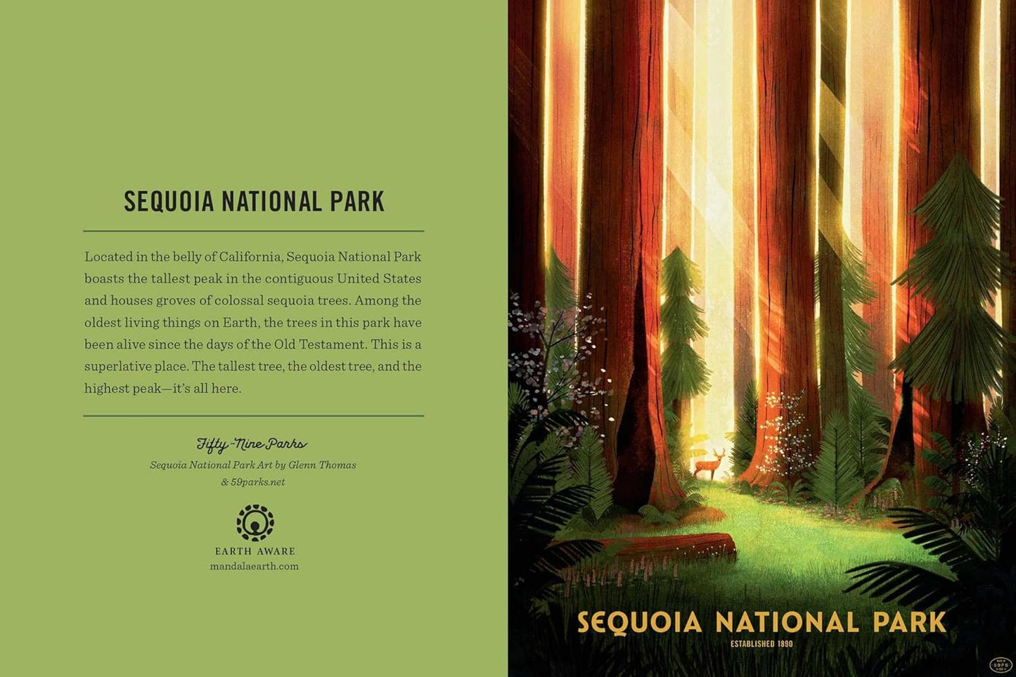 The Art of the National Parks Boxed Note Card Set (Card Book)