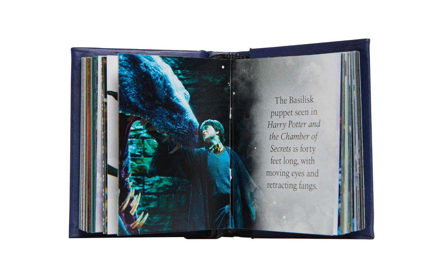Harry Potter: The Dark Arts Tiny Book