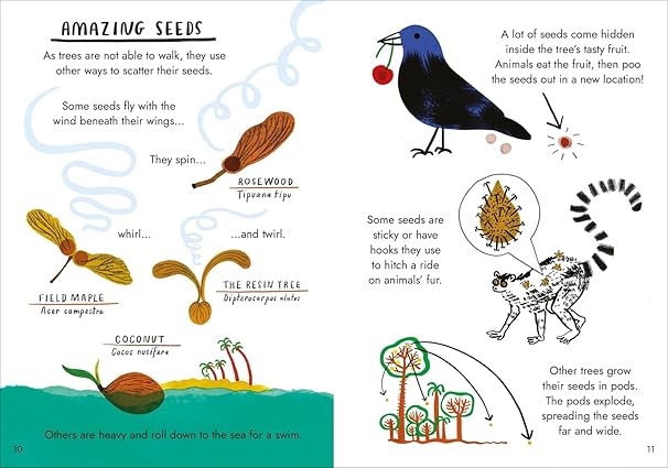 Little Guides to Nature: Hello Trees - Little Guides to Nature (Hardback)