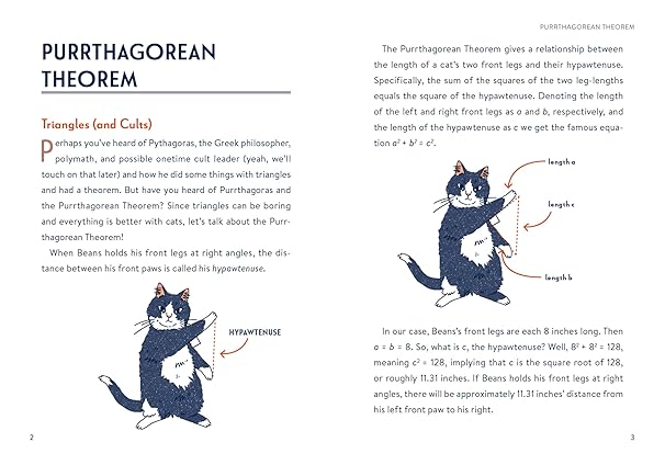 Math Cats: Scratching the Surface of Mathematical Concepts (Hardback)