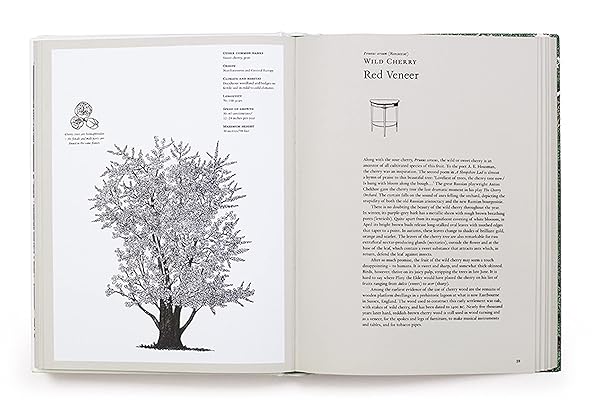 The Story of Trees: And How They Changed the Way We Live (Hardback)