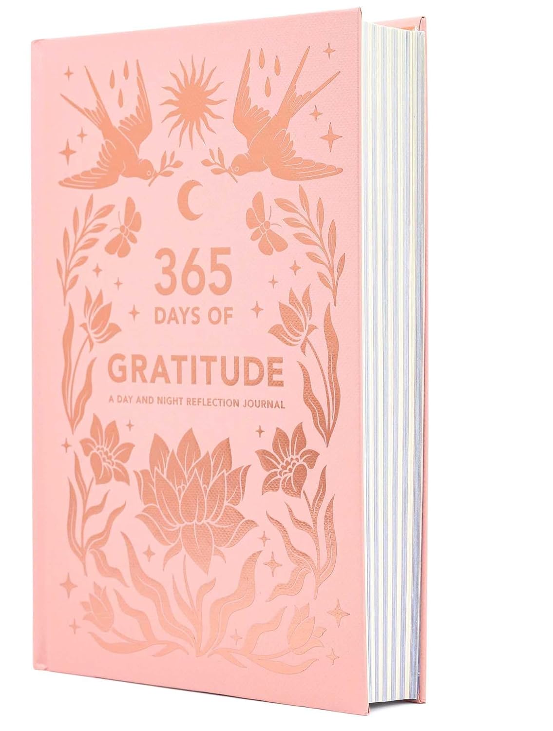 365 Days of Gratitude: A Day and Night Reflection Journal (Inner World) Hardcover