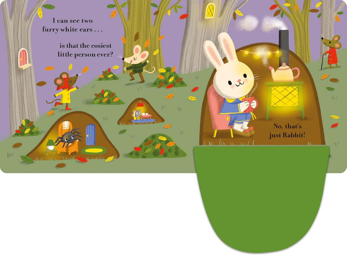 Who's Cosy? - Soft Flaps (Board book)