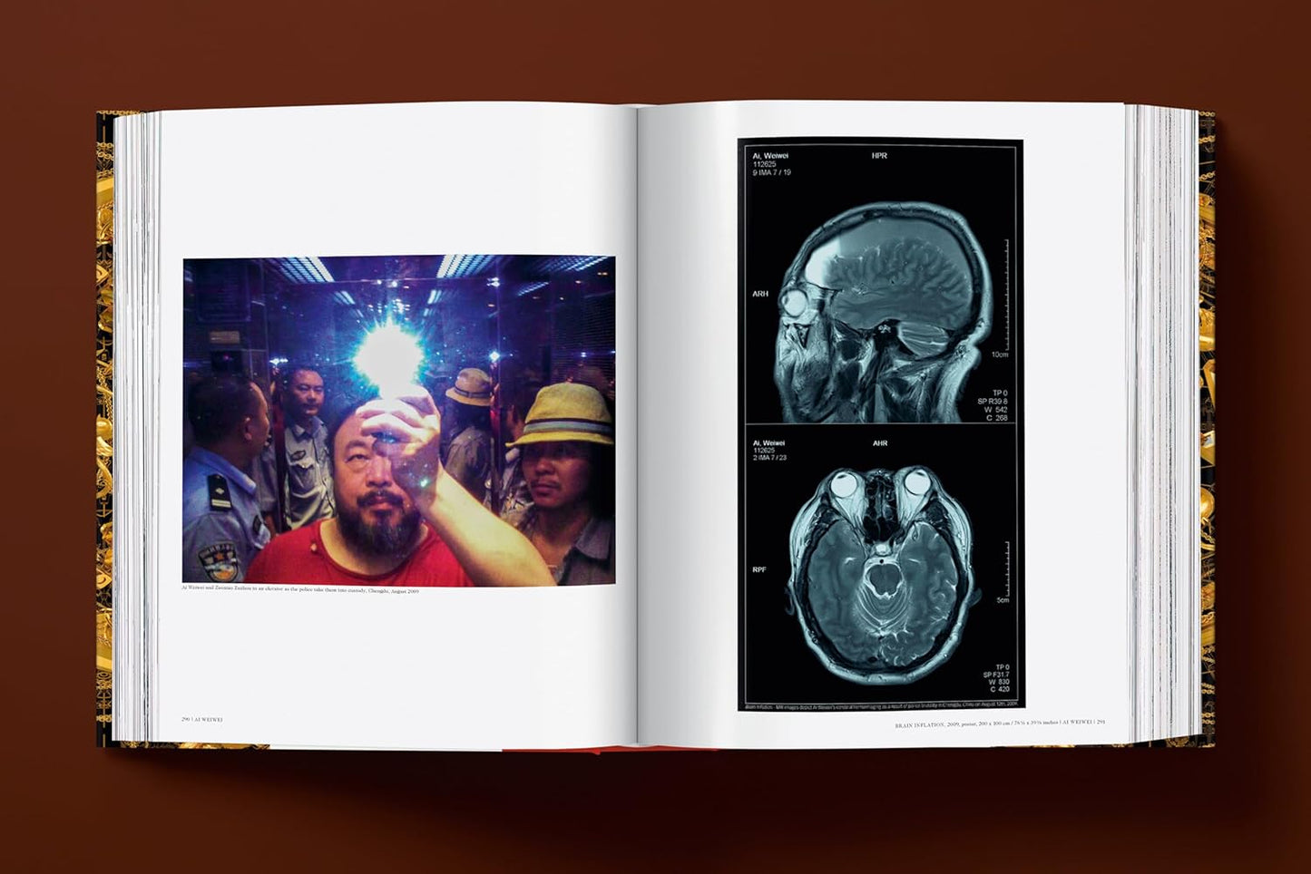 Ai Weiwei. Updated Edition (Hardback)