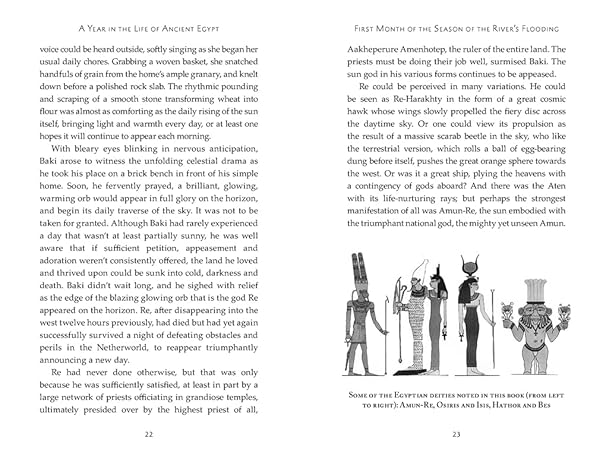 A Year in the Life of Ancient Egypt: The Real Lives of the People Who Lived There (hardback)